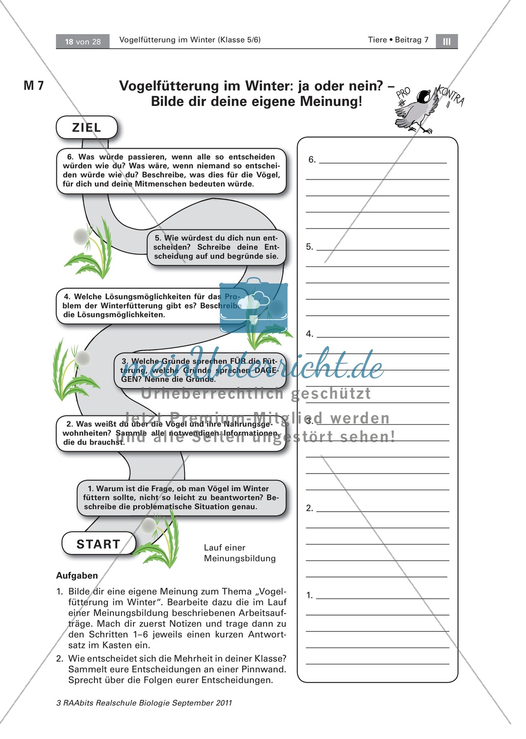 Meinungsbildung zur Vogelfütterung im Winter: Placemat, Fragen Preview 4