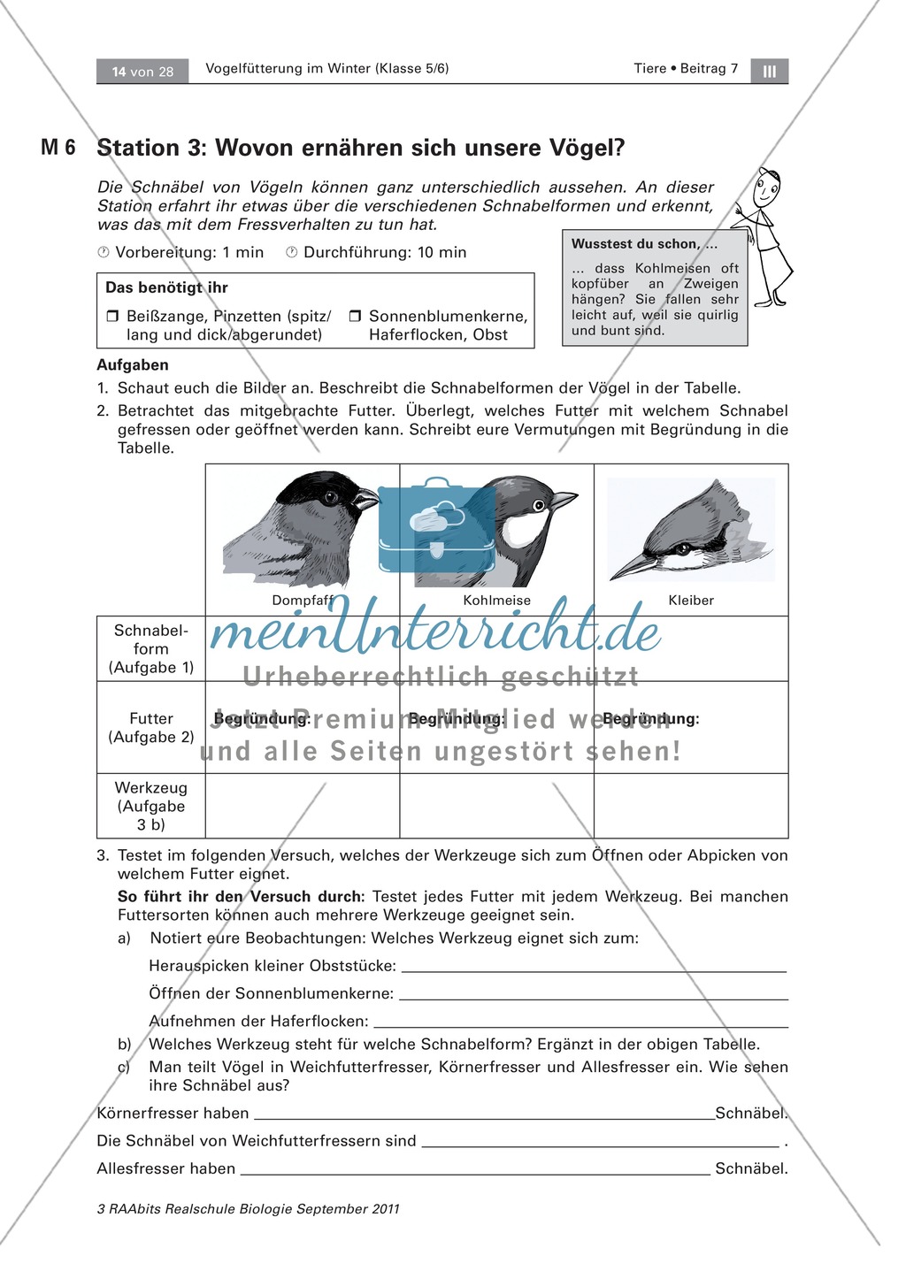 Überwinterung und Fütterung von Vögeln: Stationsarbeit, Herstellung einer Broschüre Preview 4