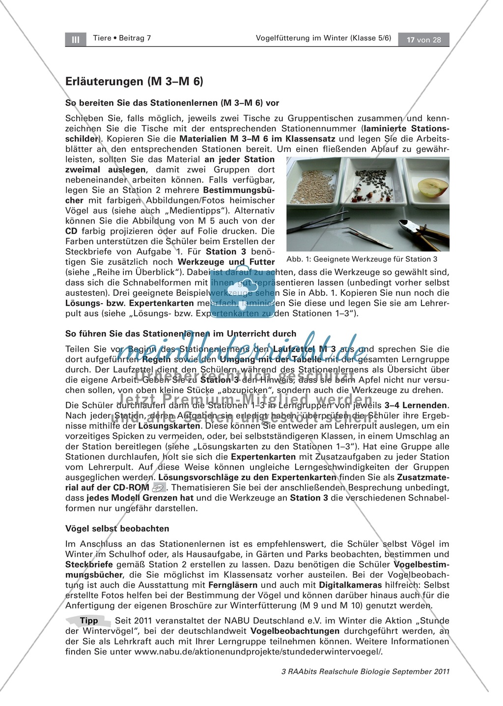 Überwinterung und Fütterung von Vögeln: Stationsarbeit, Herstellung einer Broschüre Preview 7