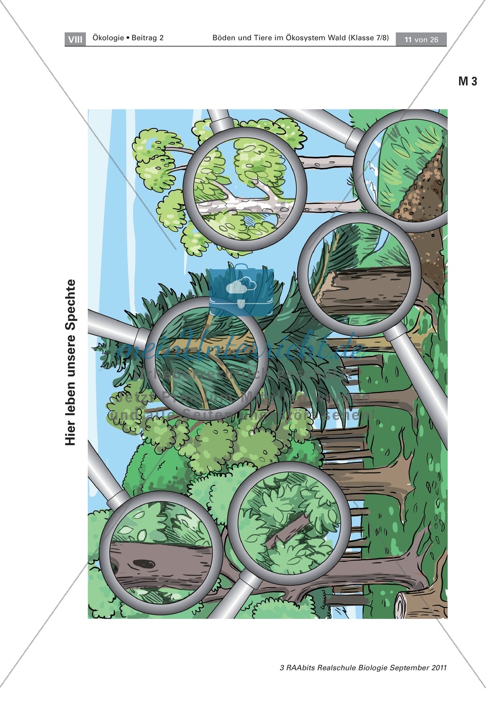 spechte und ihre kologische nischen im wald modelle beschriftung preview 3 - Okologische Nische Beispiel spechte und ihre kologische nischen im wald modelle beschriftung preview 3 - Okologische Nische Beispiel
