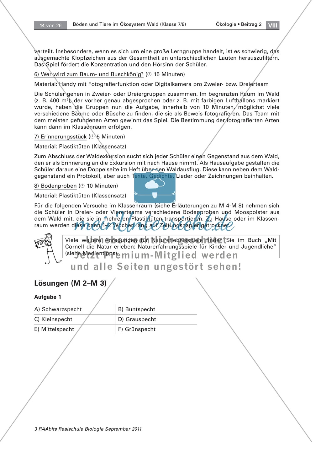 Spechte und ihre ökologische Nischen im Wald: Modelle, Beschriftung Preview 7