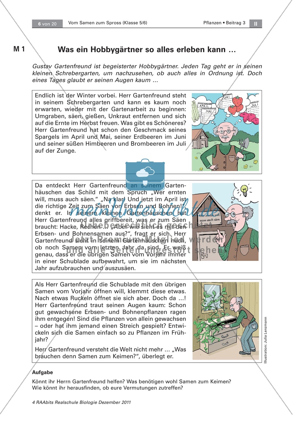 Keimungsbedingungen von Pflanzensamen: Text, Versuch Preview 1