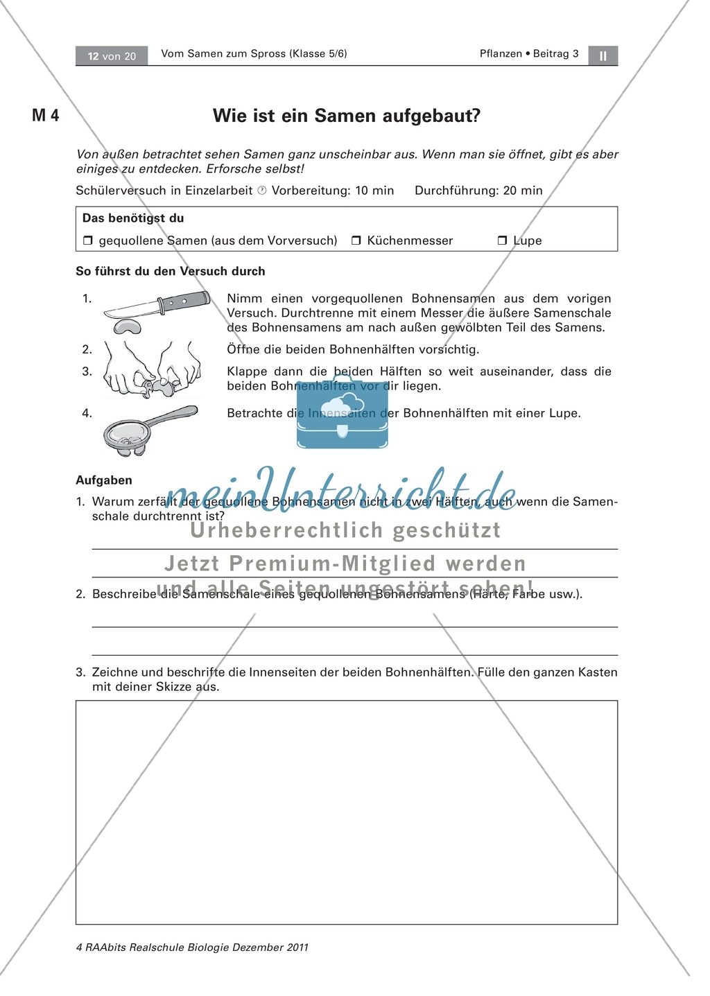 Aufbau eines Pflanzensamens: Versuch, Zeichnen Preview 1