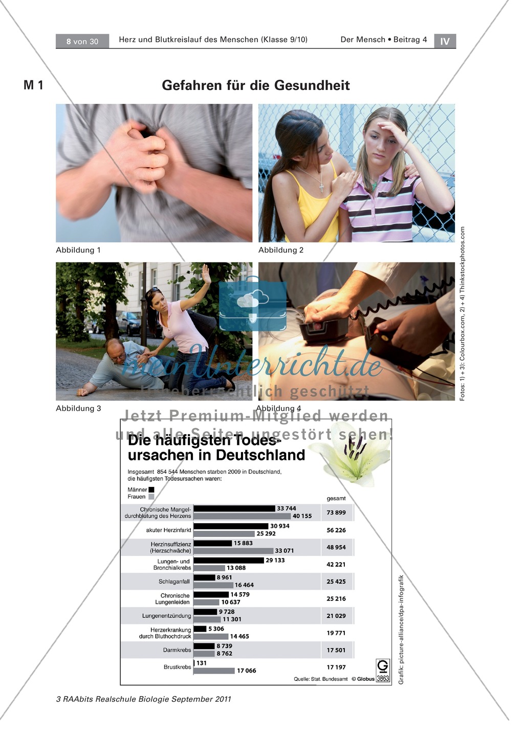 Risiken für Herz und Kreislauf des Menschen Preview 1