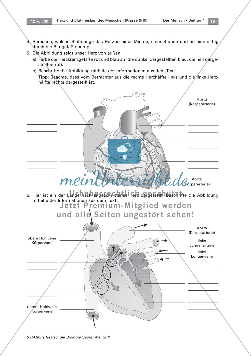 Arbeitsschritte des menschlichen Herzens: Steckbrief, Beschriften, Beschreiben Preview 2