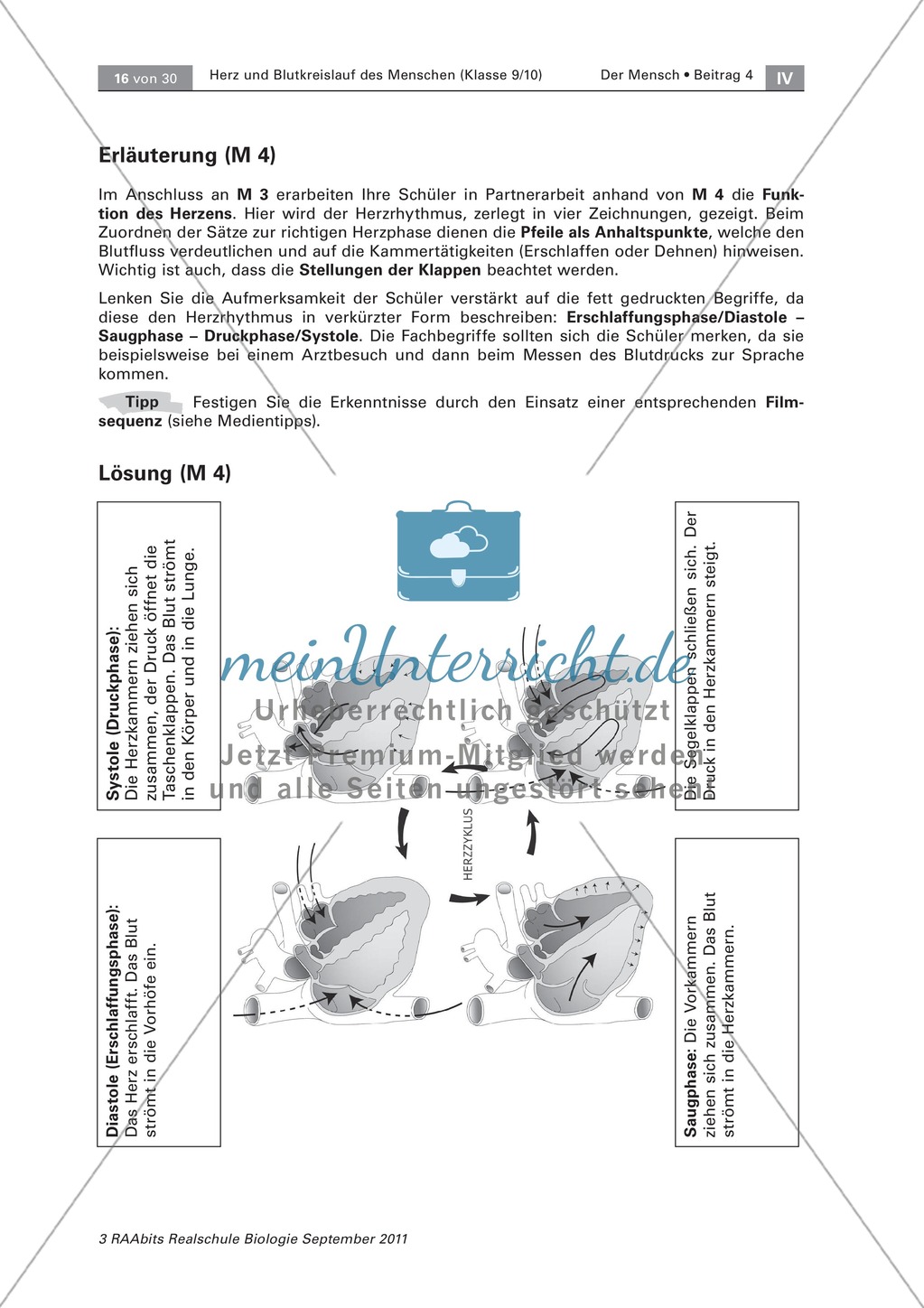 Arbeitsschritte des menschlichen Herzens: Steckbrief, Beschriften, Beschreiben Preview 6