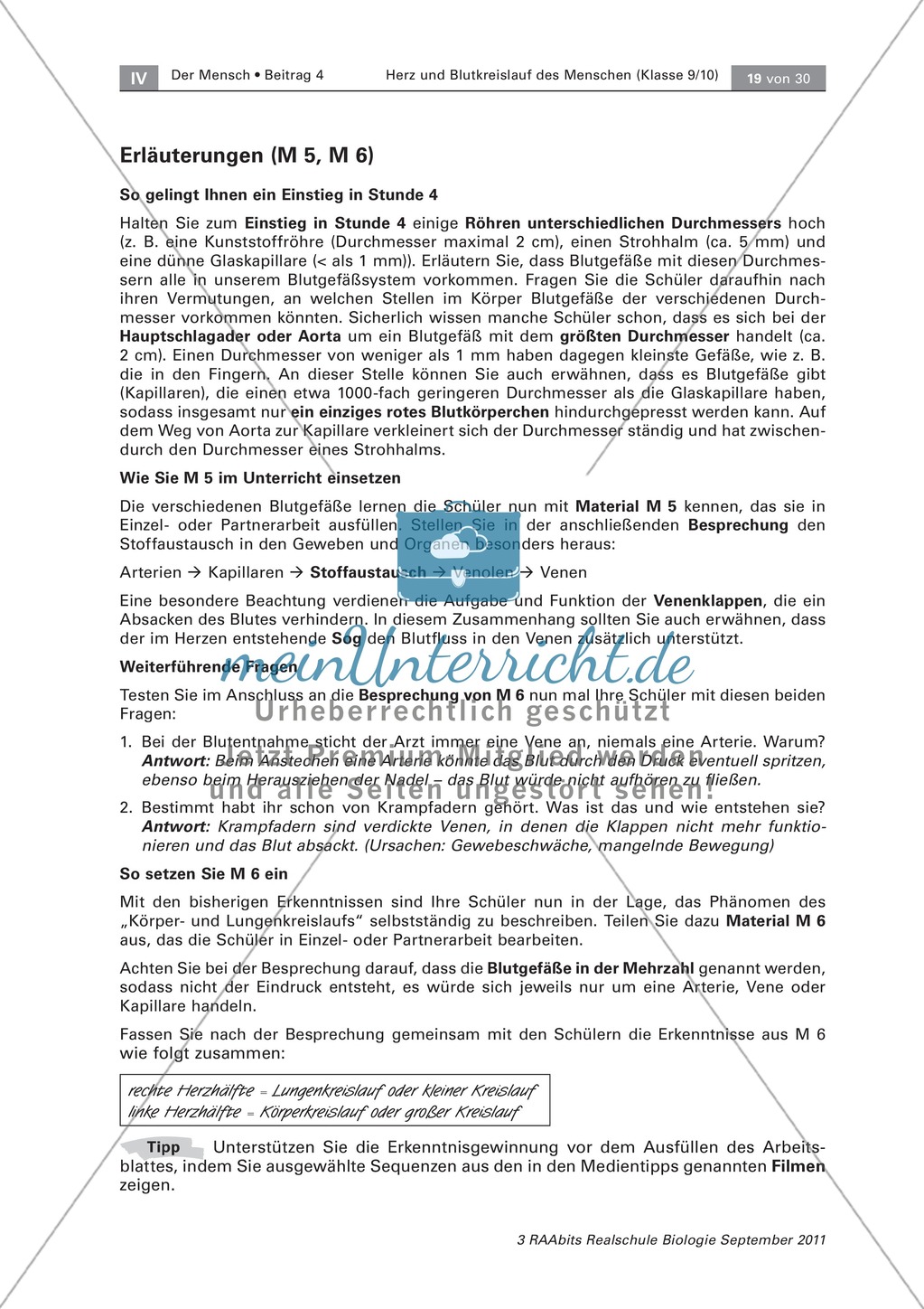 Zwei Kreisläufe des menschlichen Herzens: Lückentext, Beschriften Preview 3