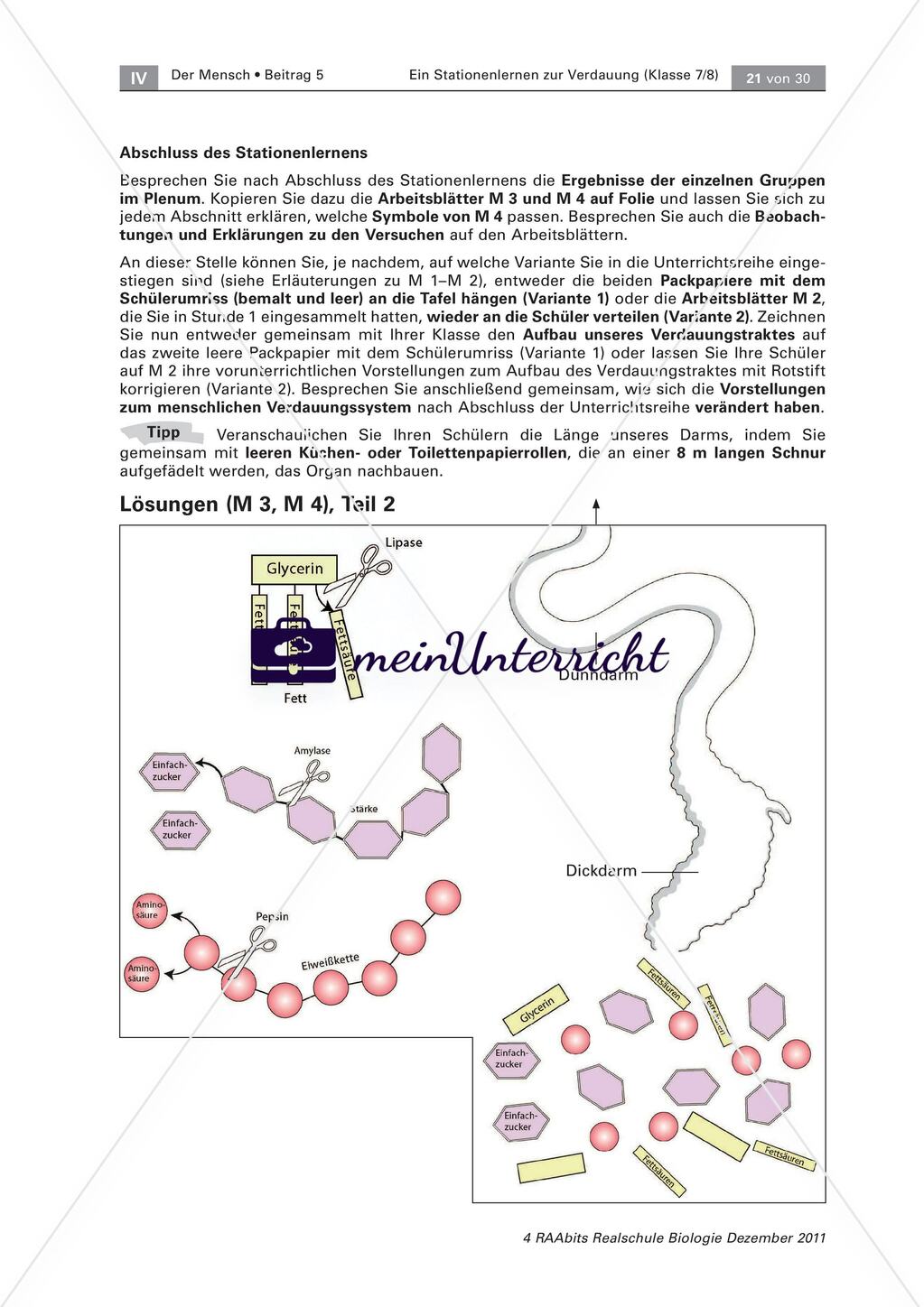 Der Weg der Nahrung durch unseren Körper – ein Stationenlernen Preview 11