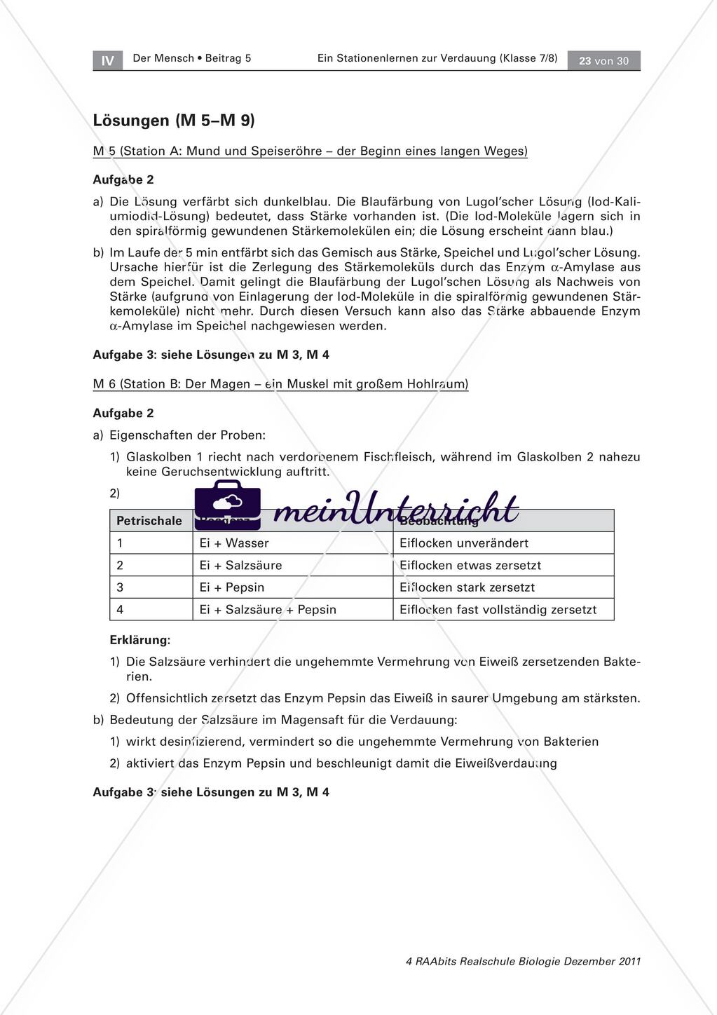 Der Weg der Nahrung durch unseren Körper – ein Stationenlernen Preview 13