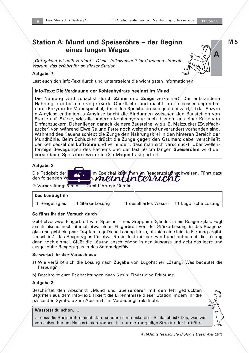 Der Weg der Nahrung durch unseren Körper – ein Stationenlernen Preview 3