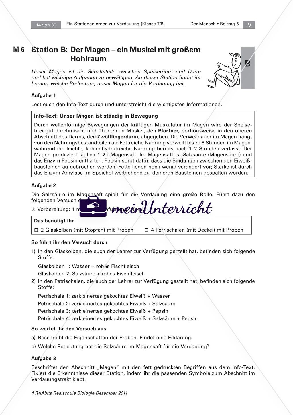 Der Weg der Nahrung durch unseren Körper – ein Stationenlernen Preview 4