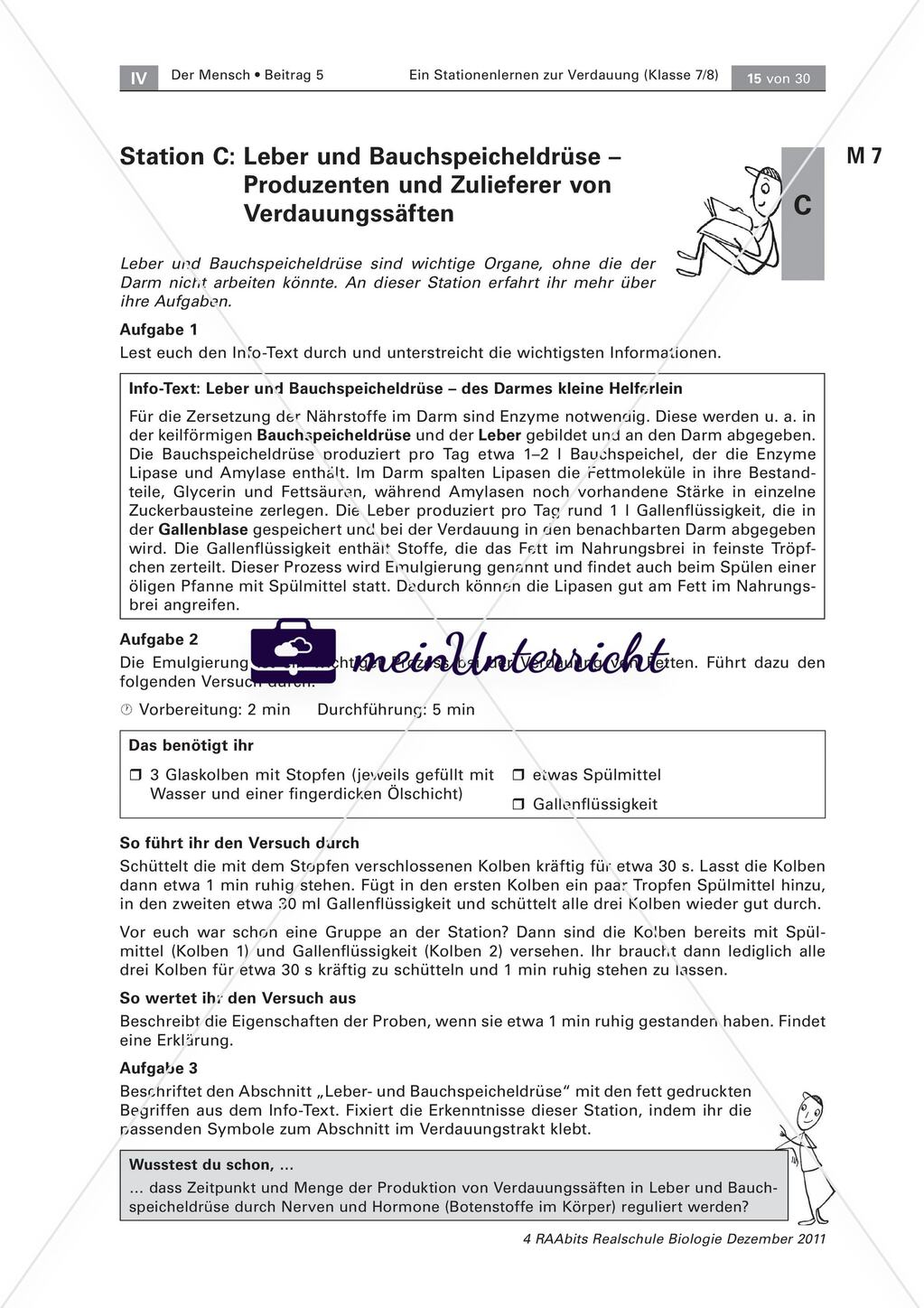 Der Weg der Nahrung durch unseren Körper – ein Stationenlernen Preview 5