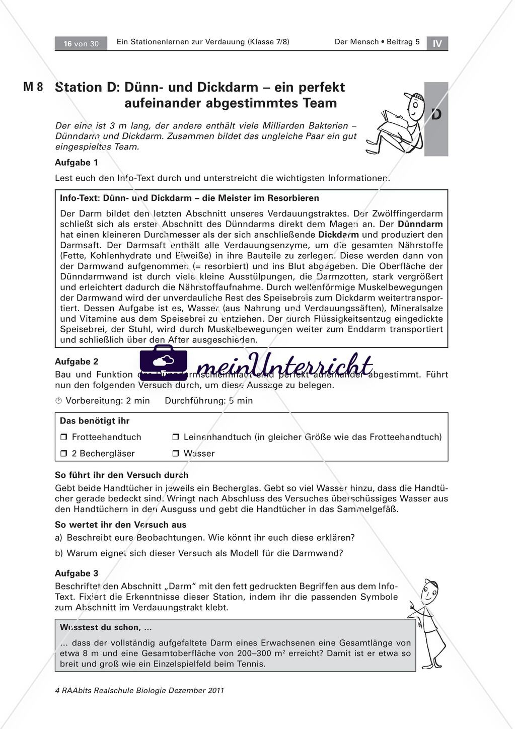 Der Weg der Nahrung durch unseren Körper – ein Stationenlernen Preview 6