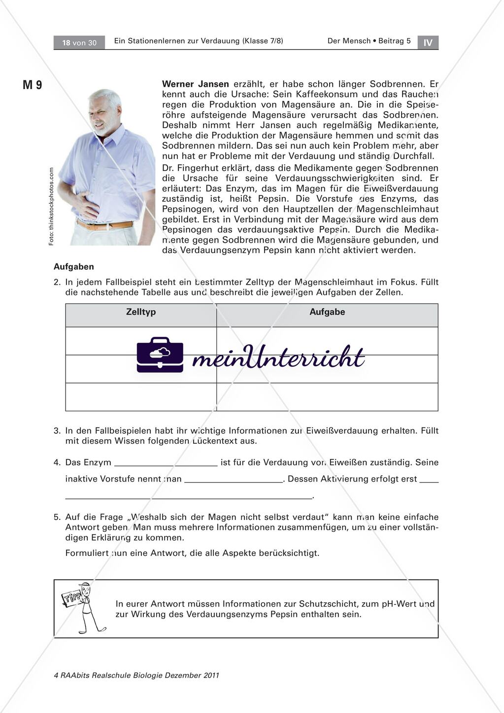 Der Weg der Nahrung durch unseren Körper – ein Stationenlernen Preview 8