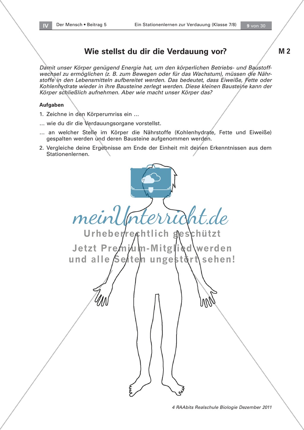 Verdauungsschritte: Zeichnen, Beschreiben Preview 2