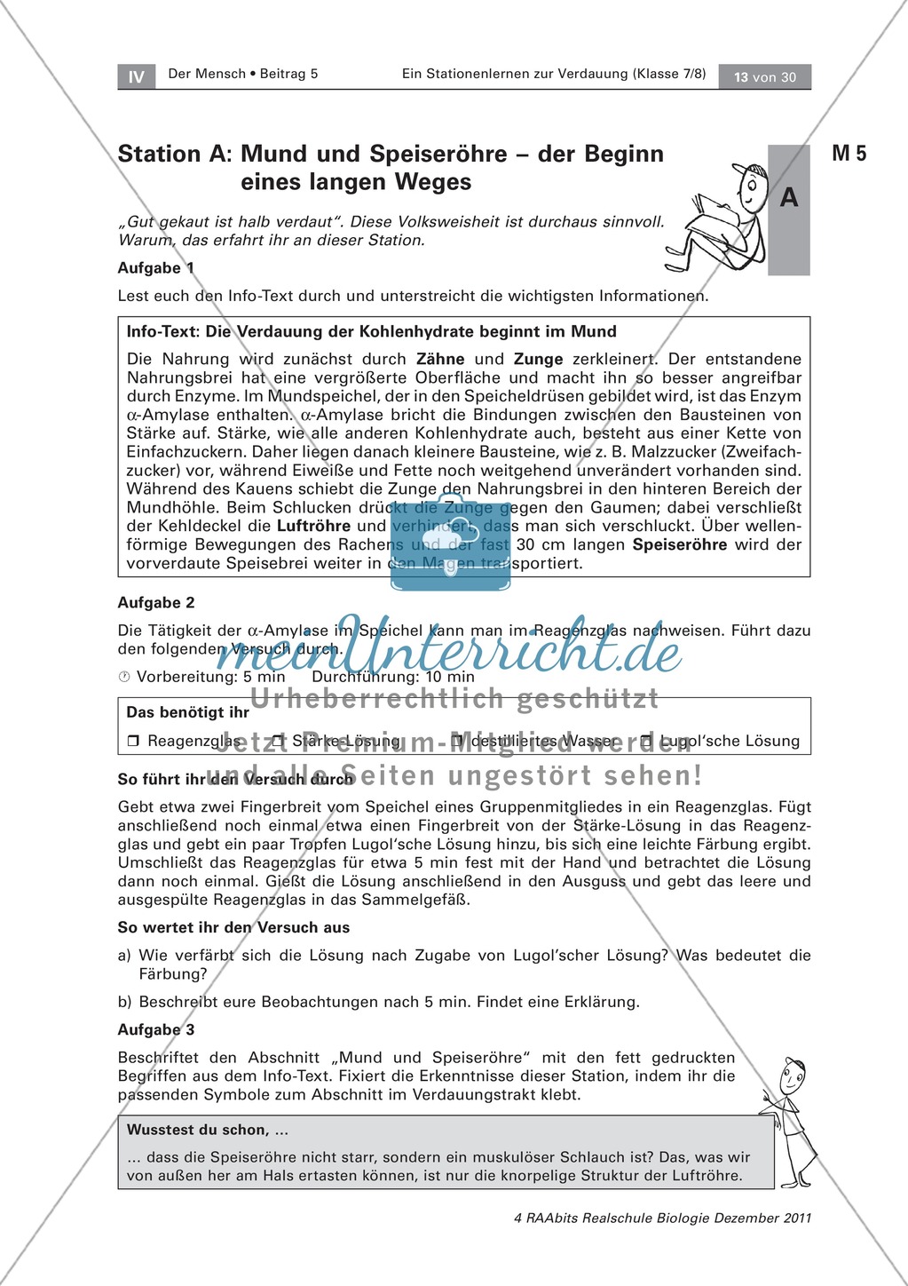 Mund und Speiseröhre: Text, Versuch Preview 3