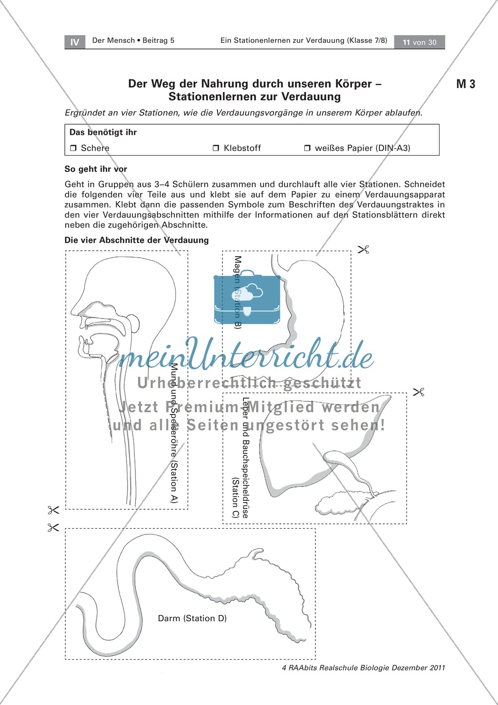 Leber und Bauchspeicheldrüse: Text, Versuch Preview 1