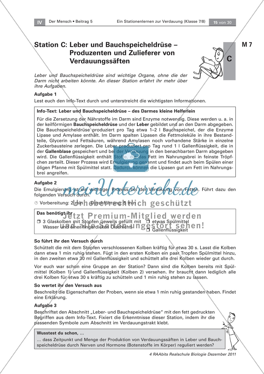 Leber und Bauchspeicheldrüse: Text, Versuch Preview 3