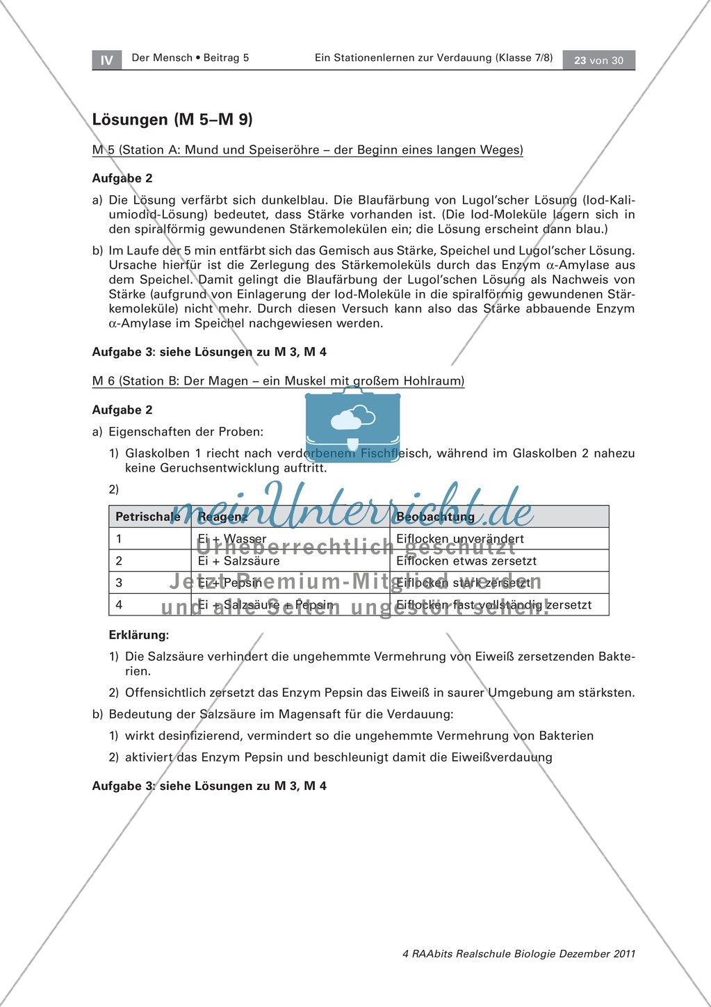 Leber und Bauchspeicheldrüse: Text, Versuch Preview 8