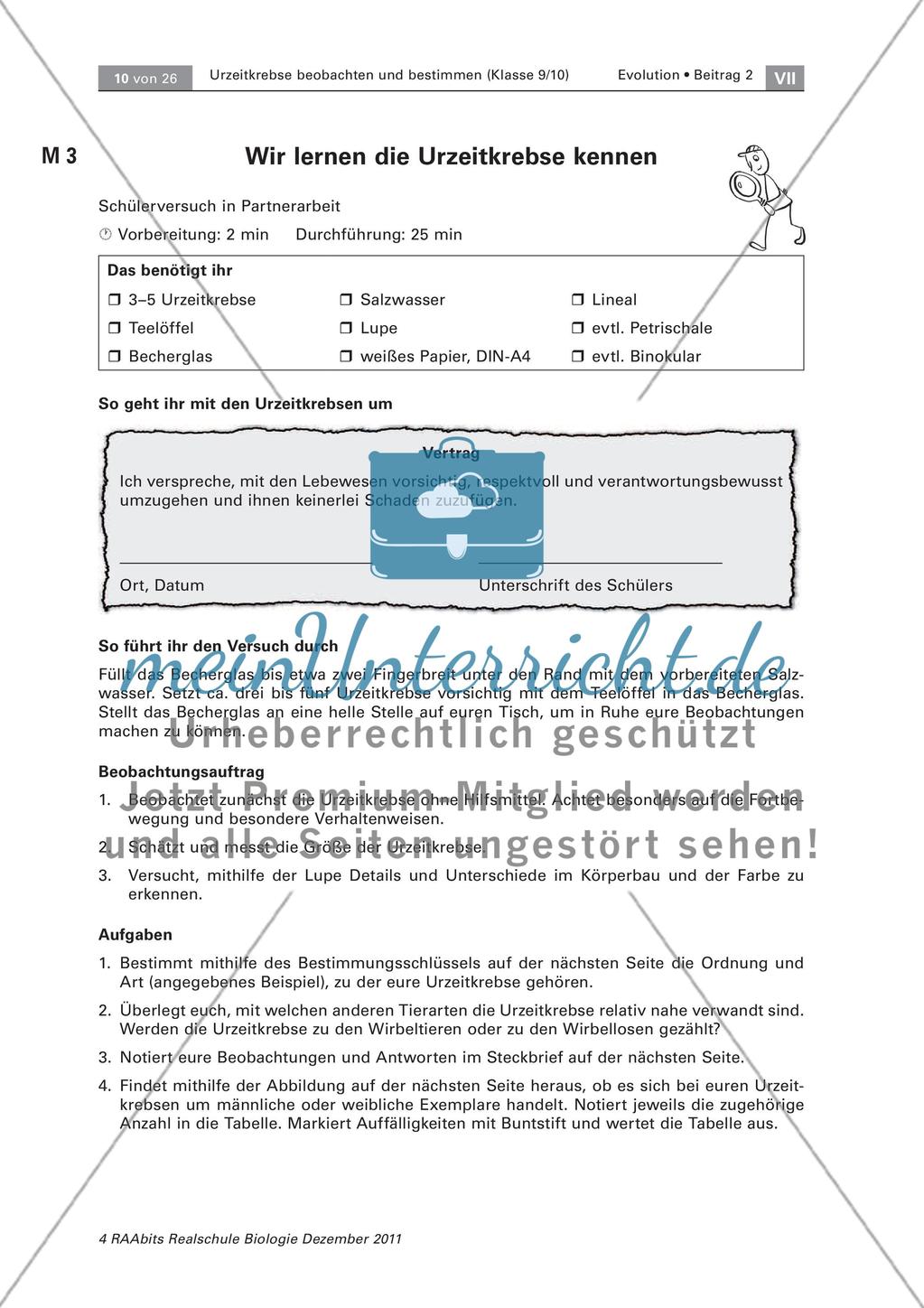 Die Urzeitkrebse kennenlernen Preview 4