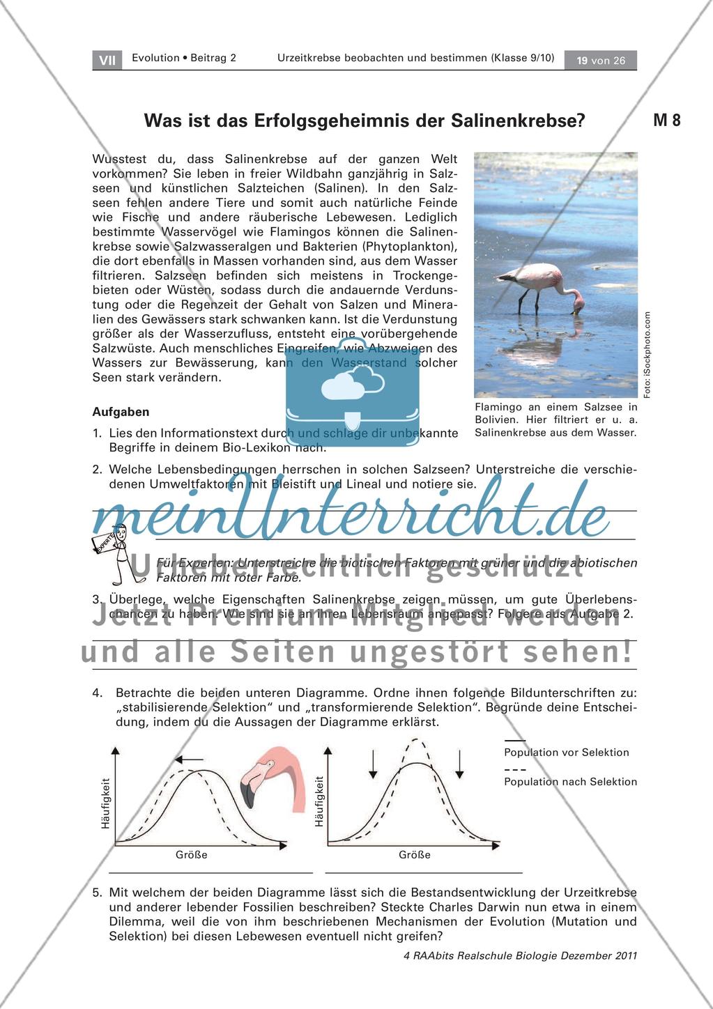 Anpassung der Salinenkrebse Preview 1