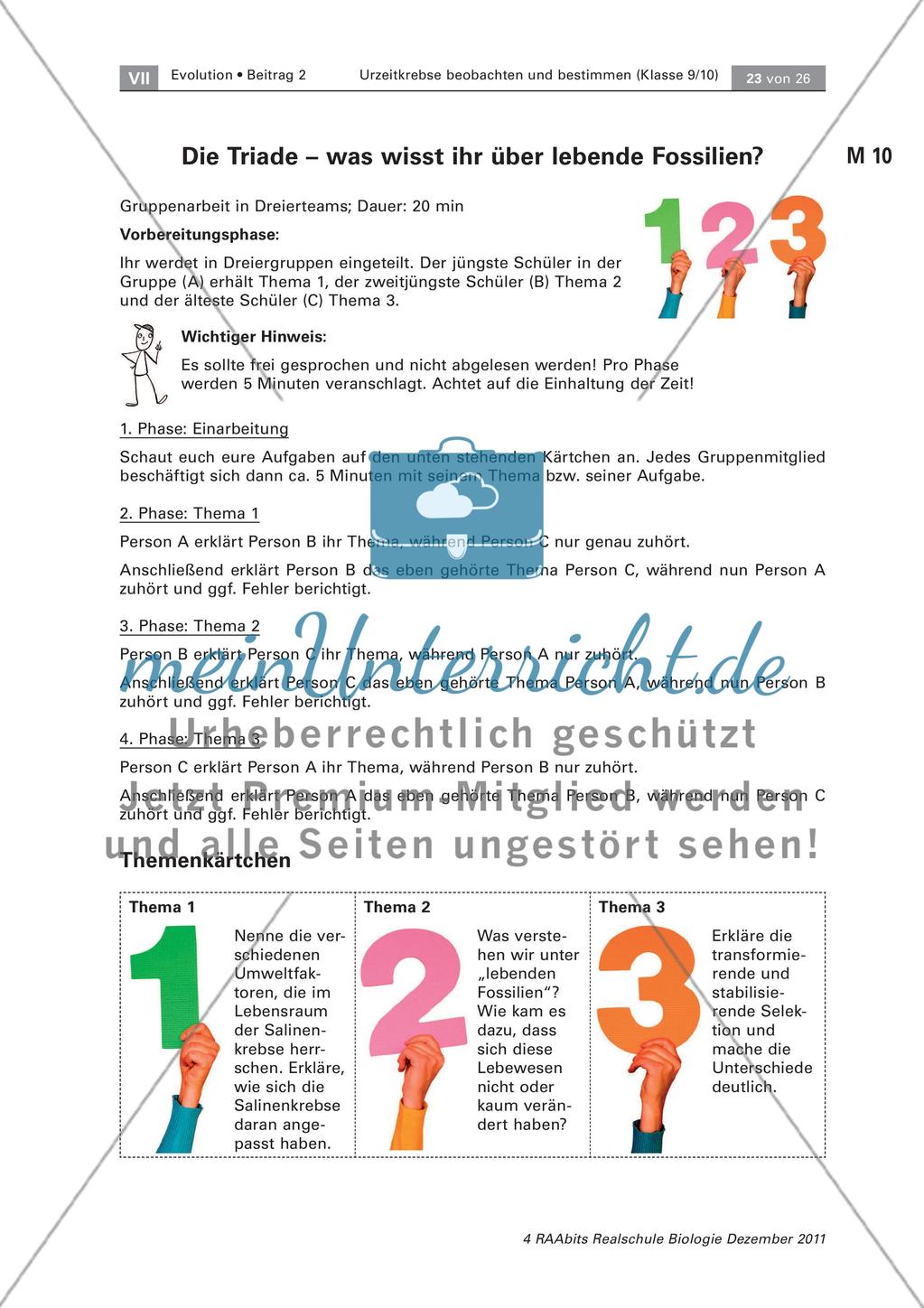 Lernerfolgskontrolle Preview 1