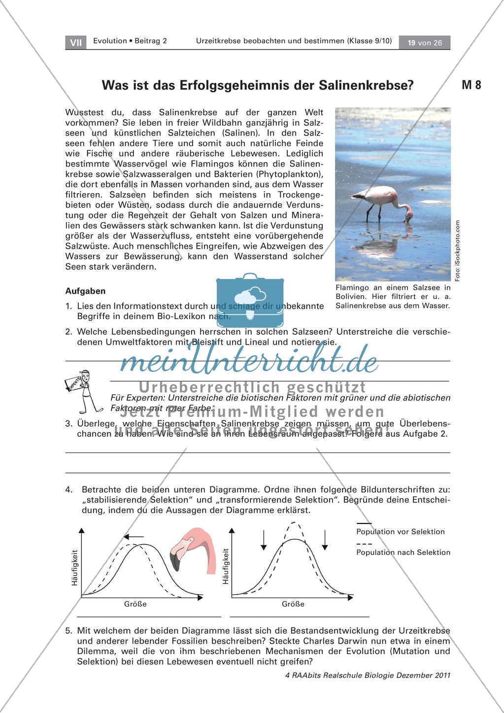 Evoultion - lebende Fossilien: Uhrzeitkrebse - Anpassung der Salinenkrebse Preview 2