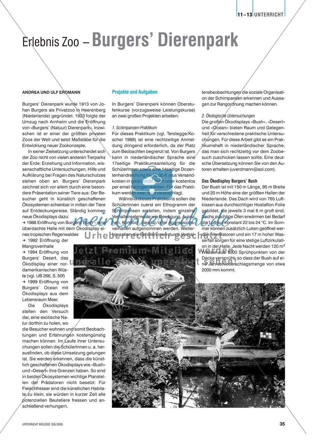 Klassenfahrt: Burgers Dierenpark - Ausflug in ein künstliches Ökosystem an der holländischen Grenze. Mit didaktischen Erläuterungen. Preview 1