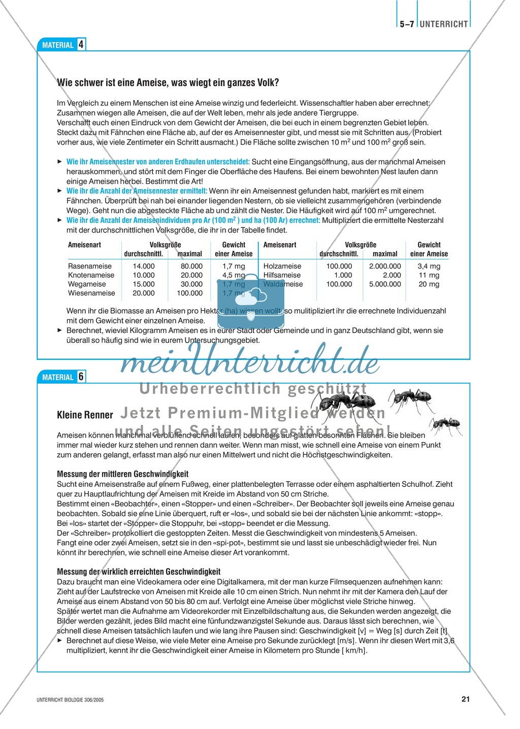Die Erforschung von Ameisen im Freiland. Mit didaktischen Erläuterungen. Preview 6