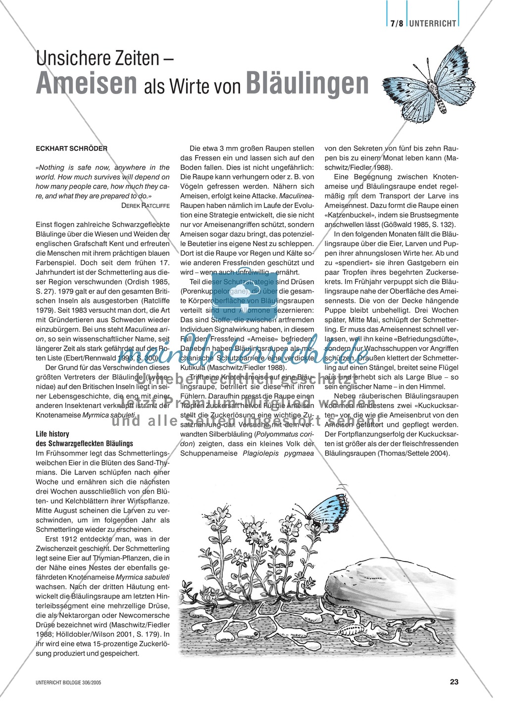 Die Ameise als Wirt am Beispiel der Bläulinge. Mit didaktischen Erläuterungen. Preview 1
