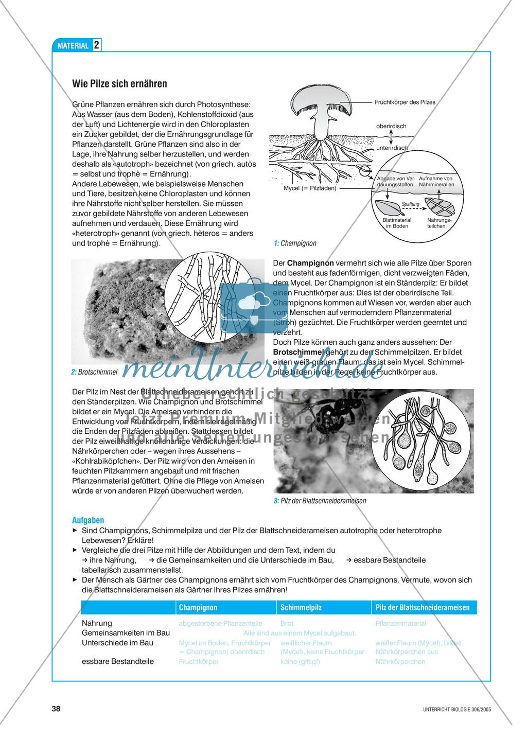 Die Symbiose zwischen Blattschneiderameise und Pilz. Mit didaktischen Erläuterungen. Preview 5