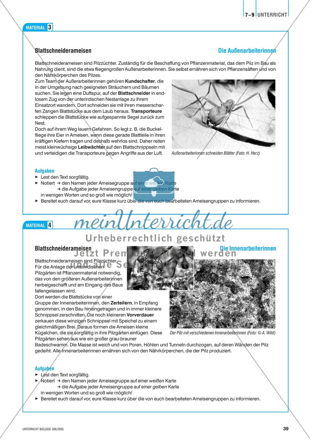 Die Symbiose zwischen Blattschneiderameise und Pilz. Mit didaktischen Erläuterungen. Preview 6