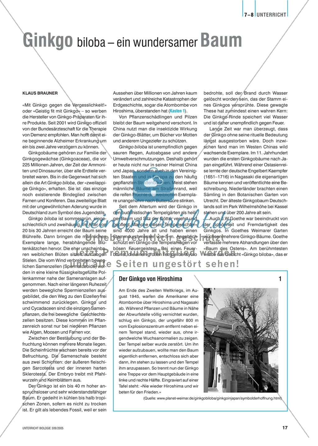 Arzneimittel: Eigenschaften und Heilwirkungen des Ginkgo biloba. Mit didaktischen Erläuterungen. Preview 1