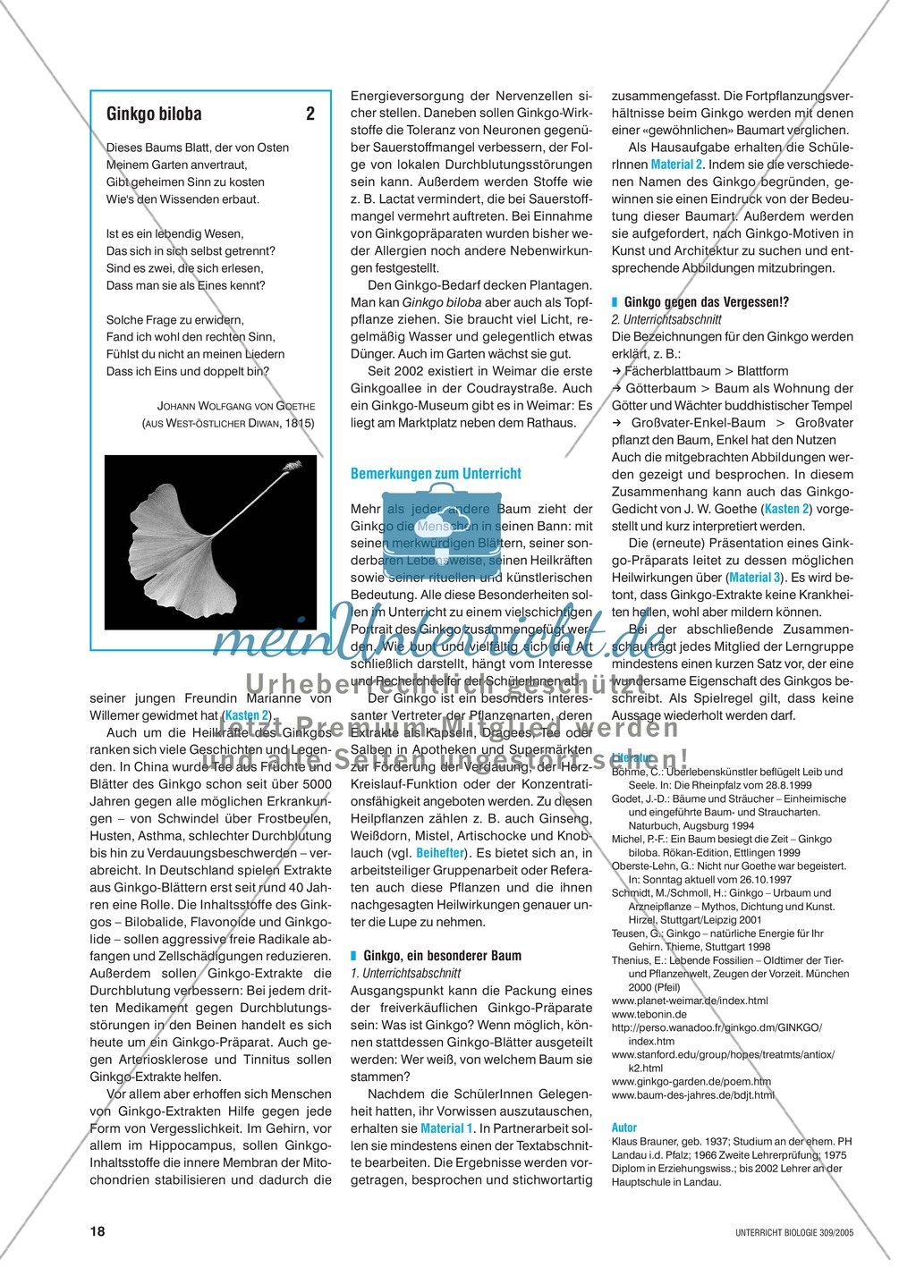 Arzneimittel: Eigenschaften und Heilwirkungen des Ginkgo biloba. Mit didaktischen Erläuterungen. Preview 2