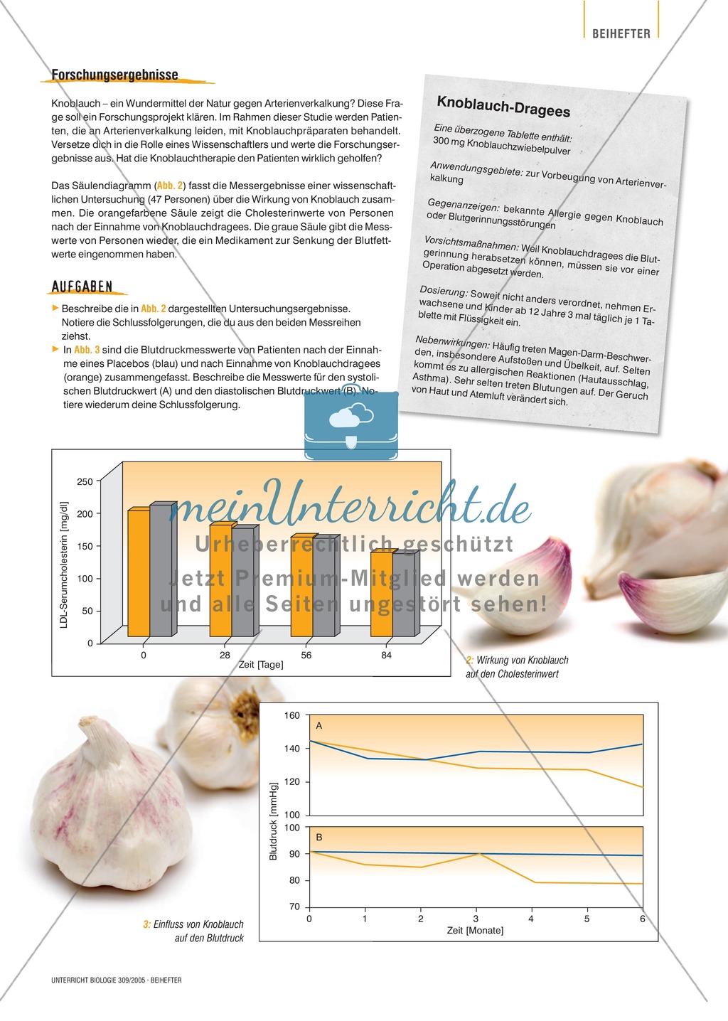 Arzneimittel: Das Wirkungsspektrum des Knoblauchs als Medizin. Mit didaktischen Erläuterungen. Preview 5