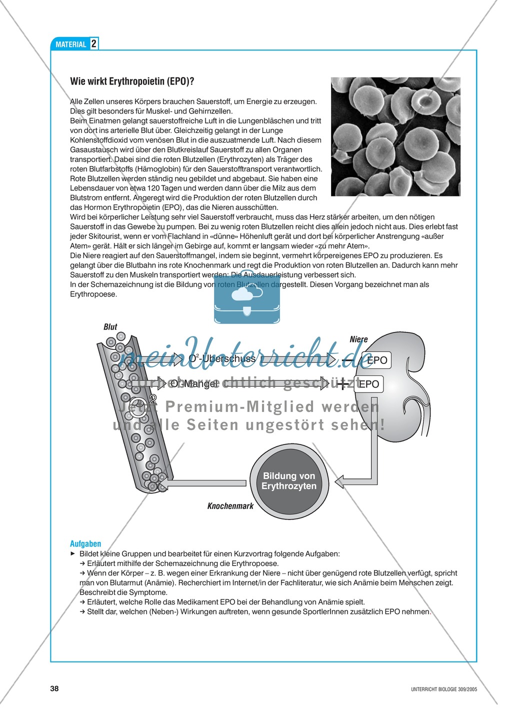 Arzneimittel: Doping im Spitzensport am Beispiel des EPO-Missbrauchs. Mit didaktischen Erläuterungen. Preview 5