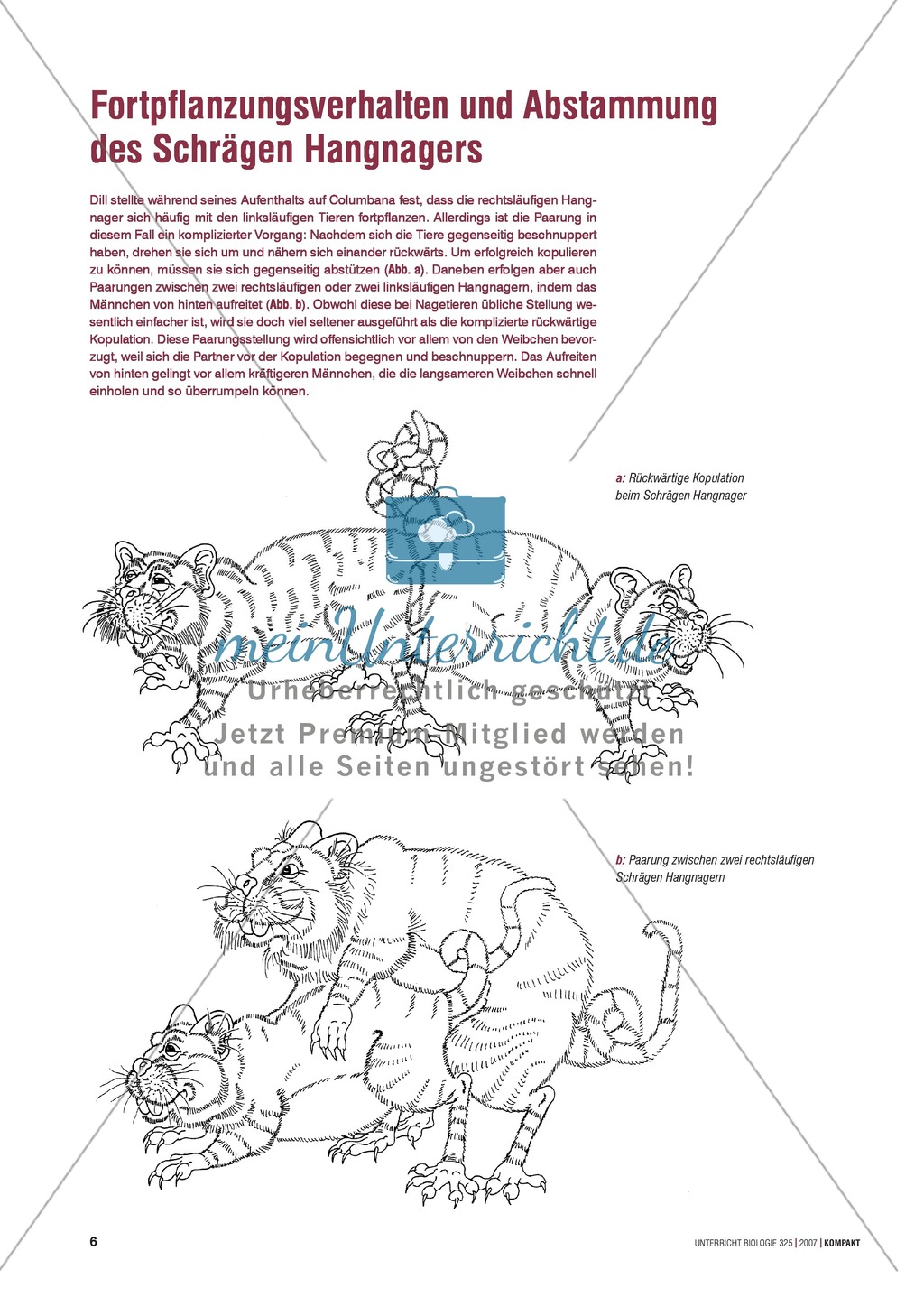 Evolutionsfaktoren: Fortpflanzungsverhalten und Abstammung des Schrägen Hangnagers Preview 1