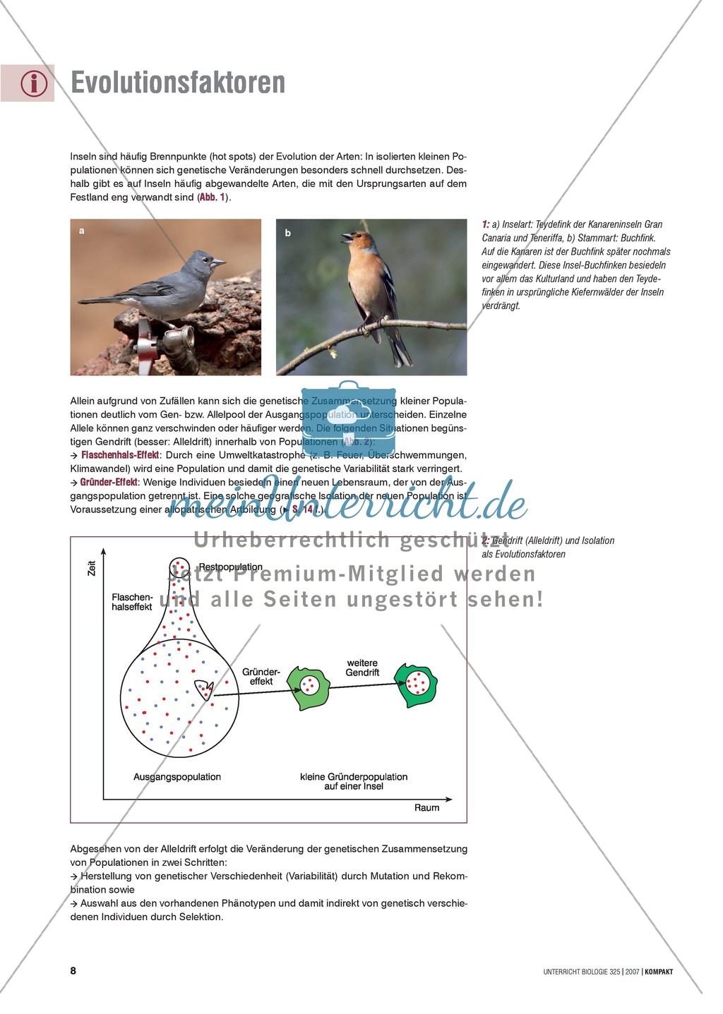 Evolutionsfaktoren: Fortpflanzungsverhalten und Abstammung des Schrägen Hangnagers Preview 3