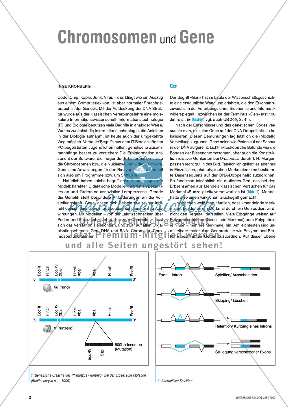 Basisartikel: Chromosomen und Gene Preview 1