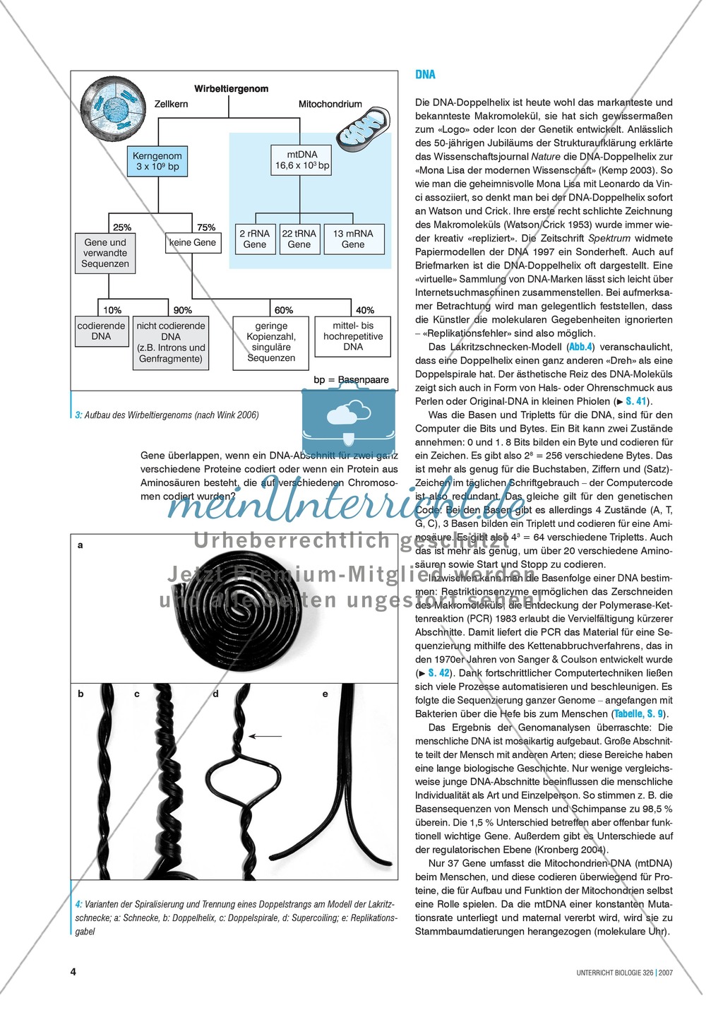 Basisartikel: Chromosomen und Gene Preview 3