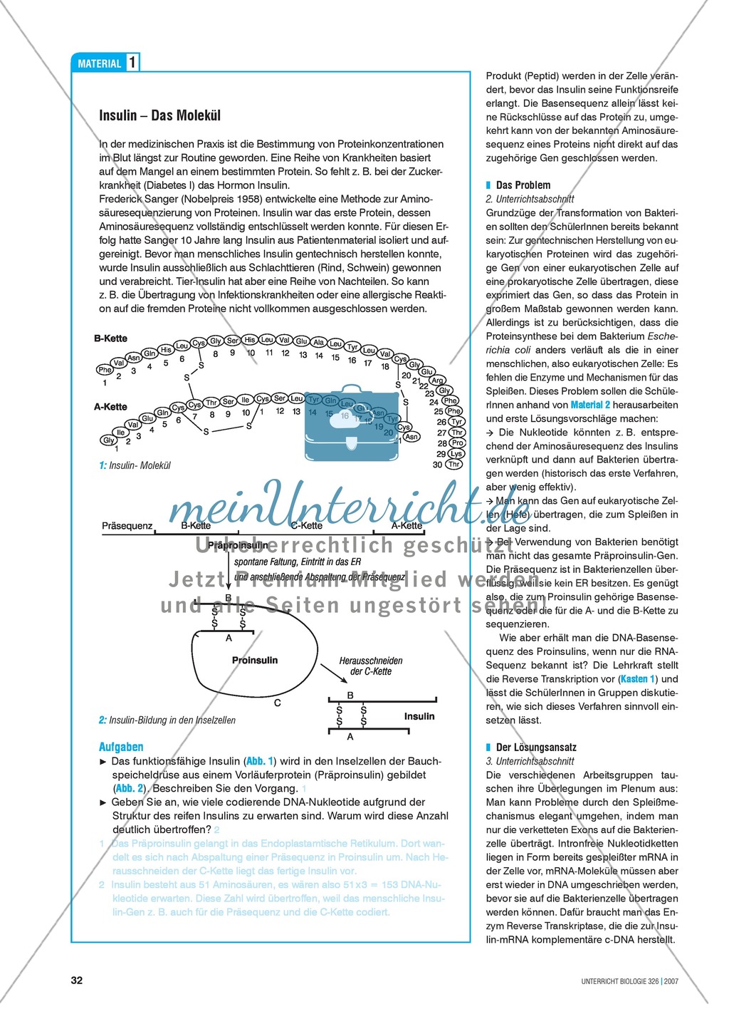 Insulin-Synthese: Vom Protein zum Gen zum Protein Preview 3