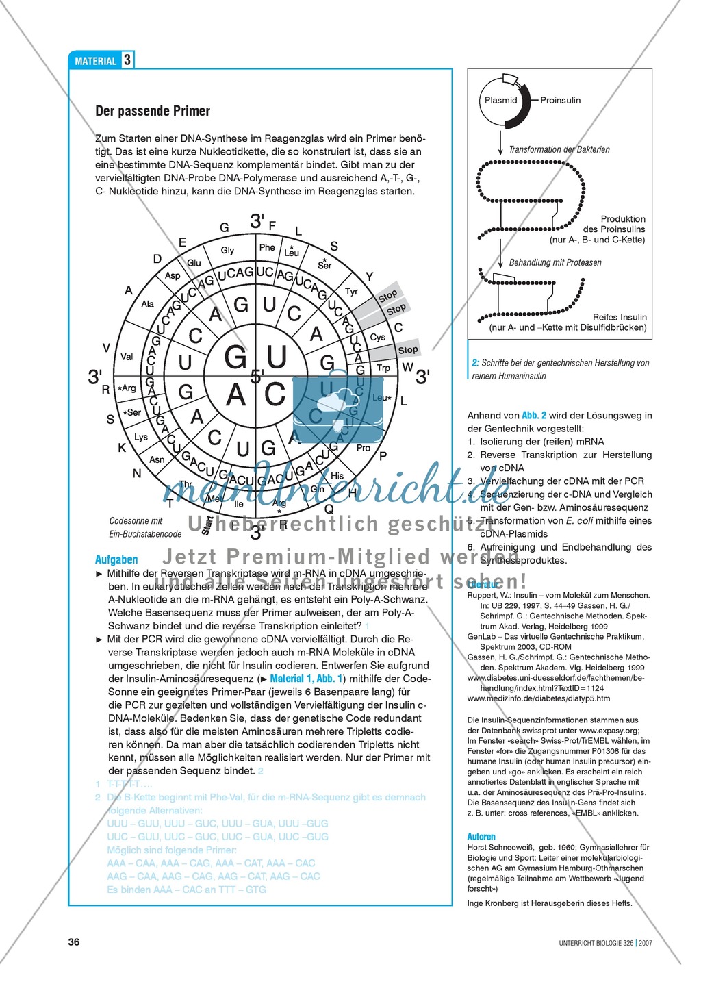 Insulin-Synthese: Vom Protein zum Gen zum Protein Preview 7