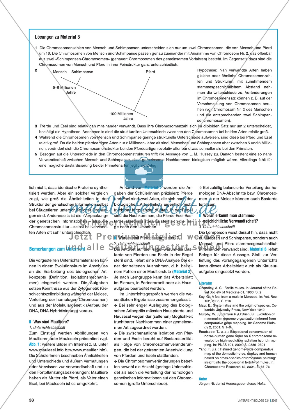 Sterile Nachkommen: Genetische Grundlagen der Art-Isolation zwischen Pferd und Esel. Preview 4