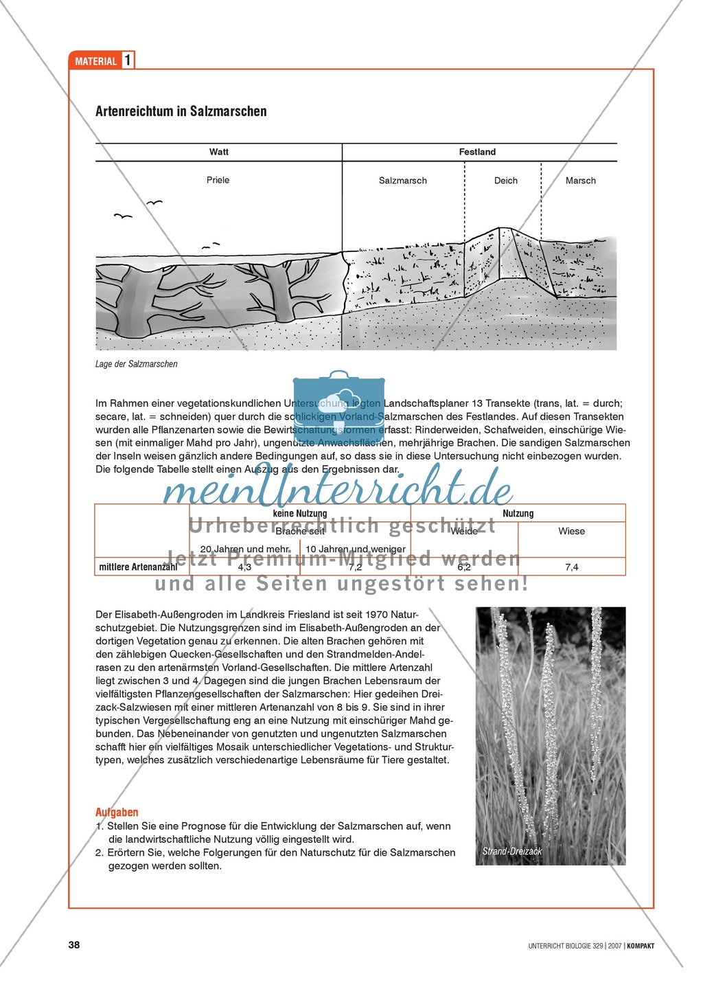 Alltagsvorstellungen zur Ökologie - Mensch und Natur: Info-Text und Aufgaben Preview 4