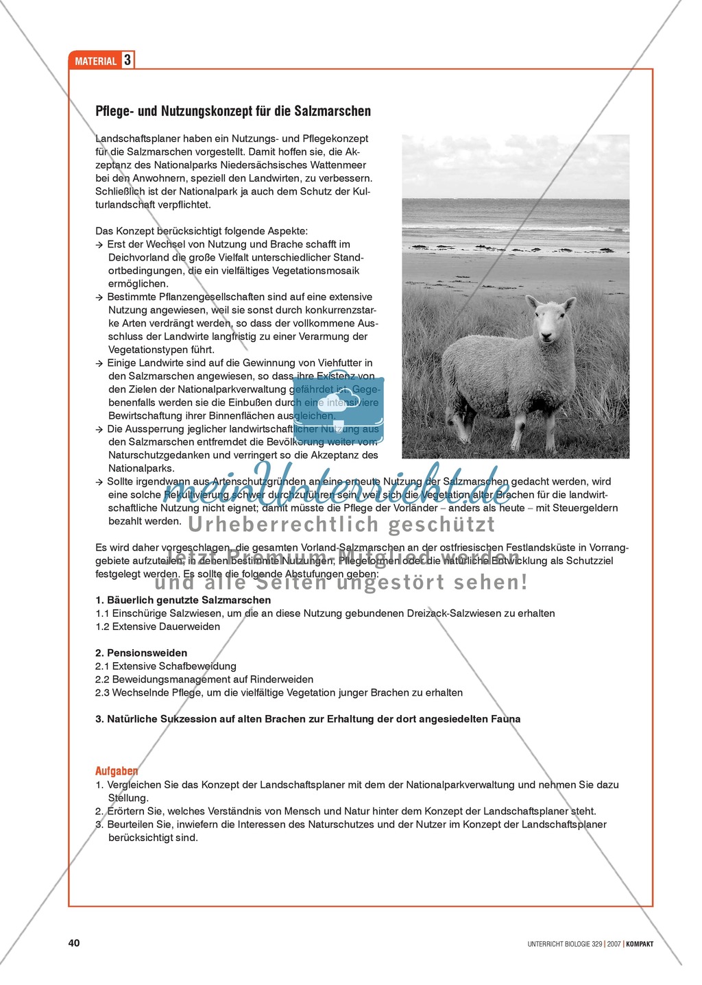 Alltagsvorstellungen zur Ökologie - Mensch und Natur: Info-Text und Aufgaben Preview 6