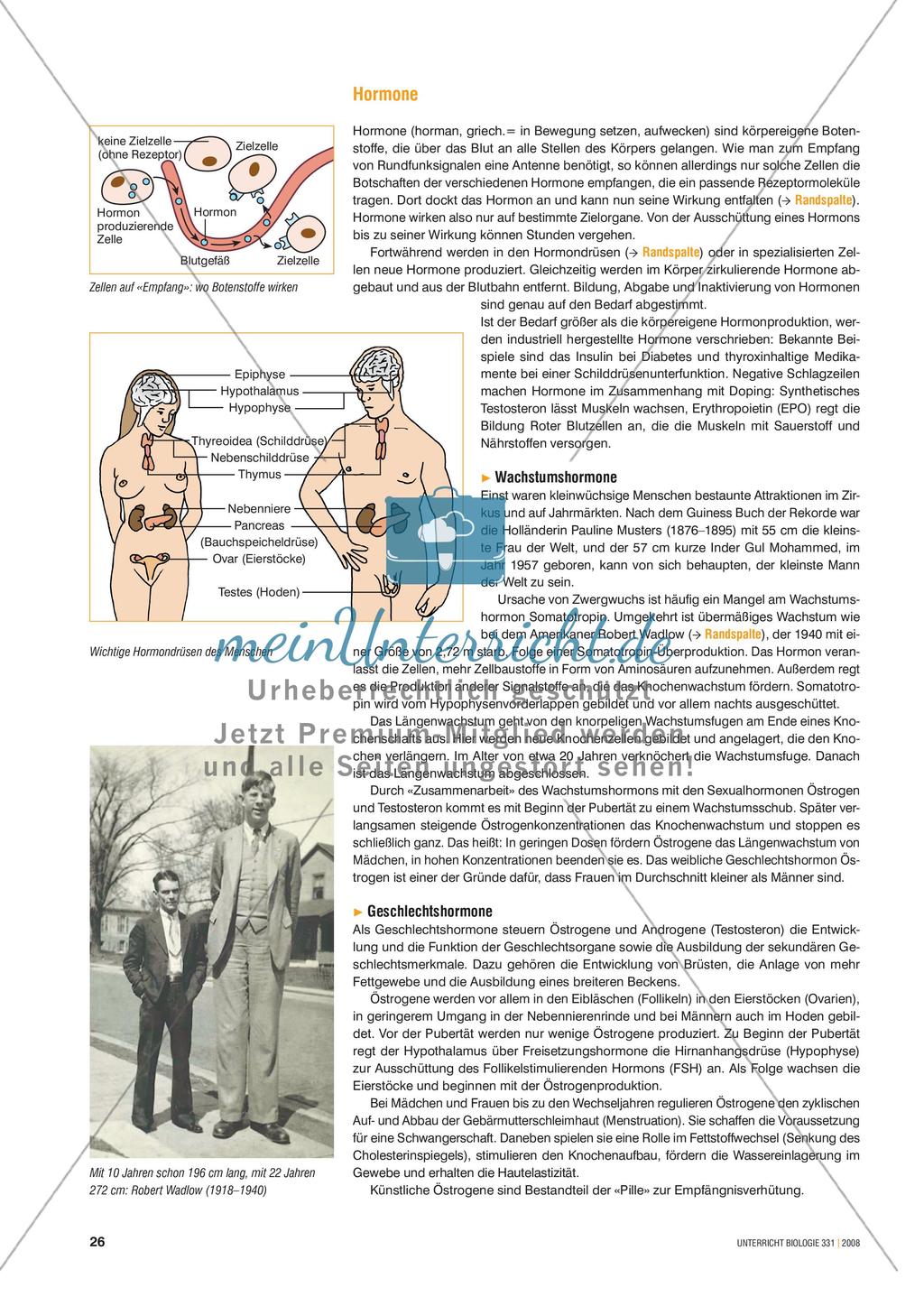 Signalstoffe: Der Fall Ashley - Merkmale und Behandlungsmöglichkeiten von Hormonstörungen Preview 2