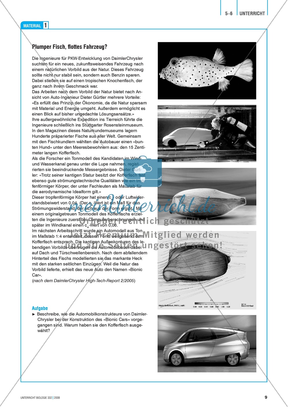 Bionik: Vom Kofferfisch zum schnellen Flitzer? Automobilingenieure auf Suche in tropischen Meeren - Info-Text und Aufgaben Preview 2