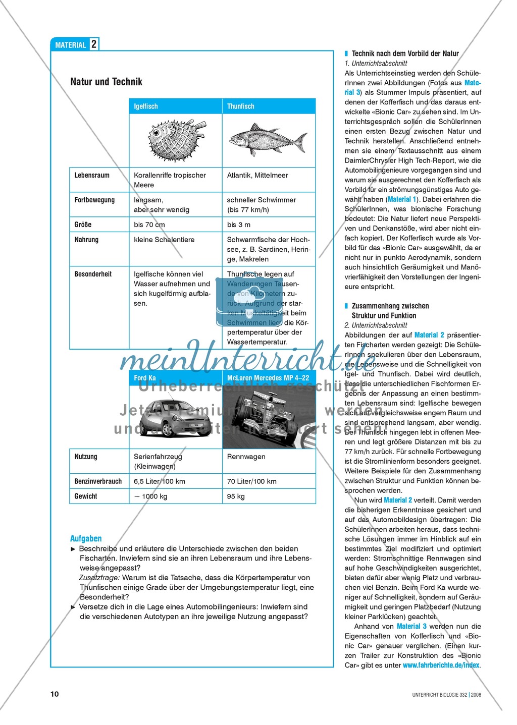 Bionik: Vom Kofferfisch zum schnellen Flitzer? Automobilingenieure auf Suche in tropischen Meeren - Info-Text und Aufgaben Preview 3