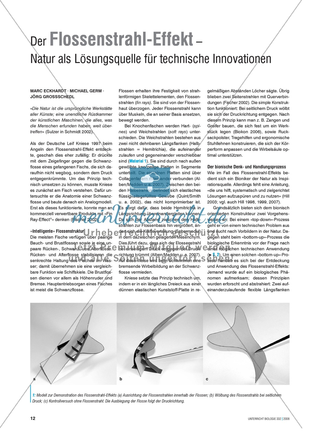 Bionik: Der Flossenstrahl-Effekt - Natur als Lösungsquelle für technische Innovation - Info-Text und Aufgaben Preview 1