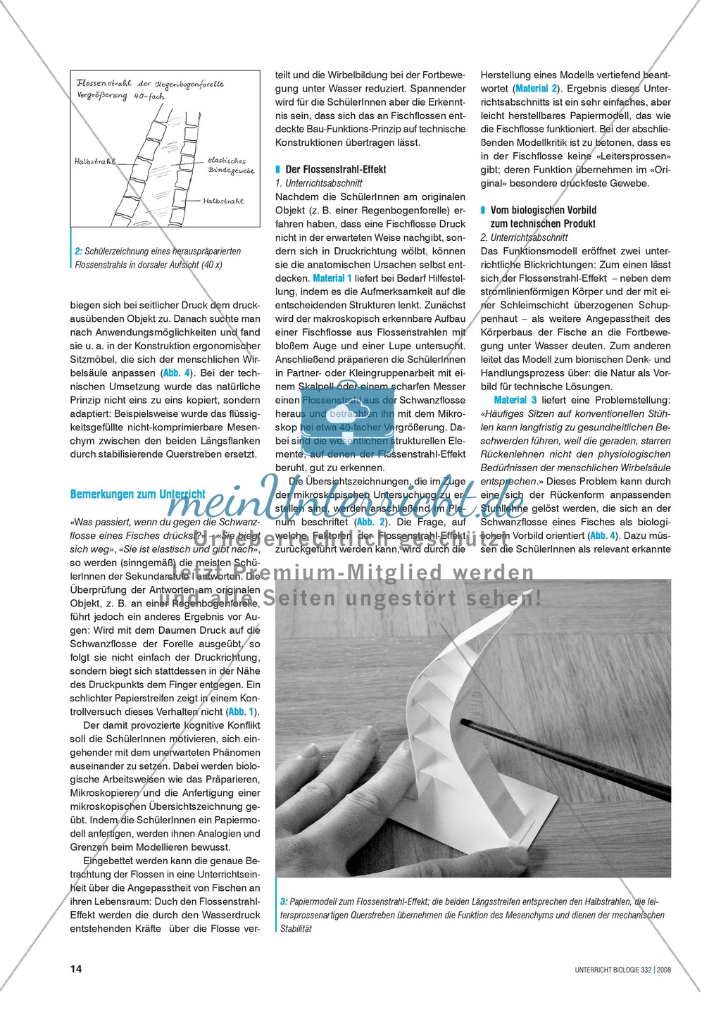 Bionik: Der Flossenstrahl-Effekt - Natur als Lösungsquelle für technische Innovation - Info-Text und Aufgaben Preview 3